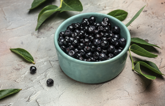 Discover the Unique Power of Maqui Berry in Your Diet