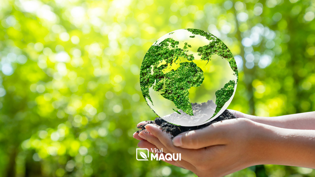 🌎 World Environment Week: How Maqui Berries Support a Healthier You and a Healthier Planet