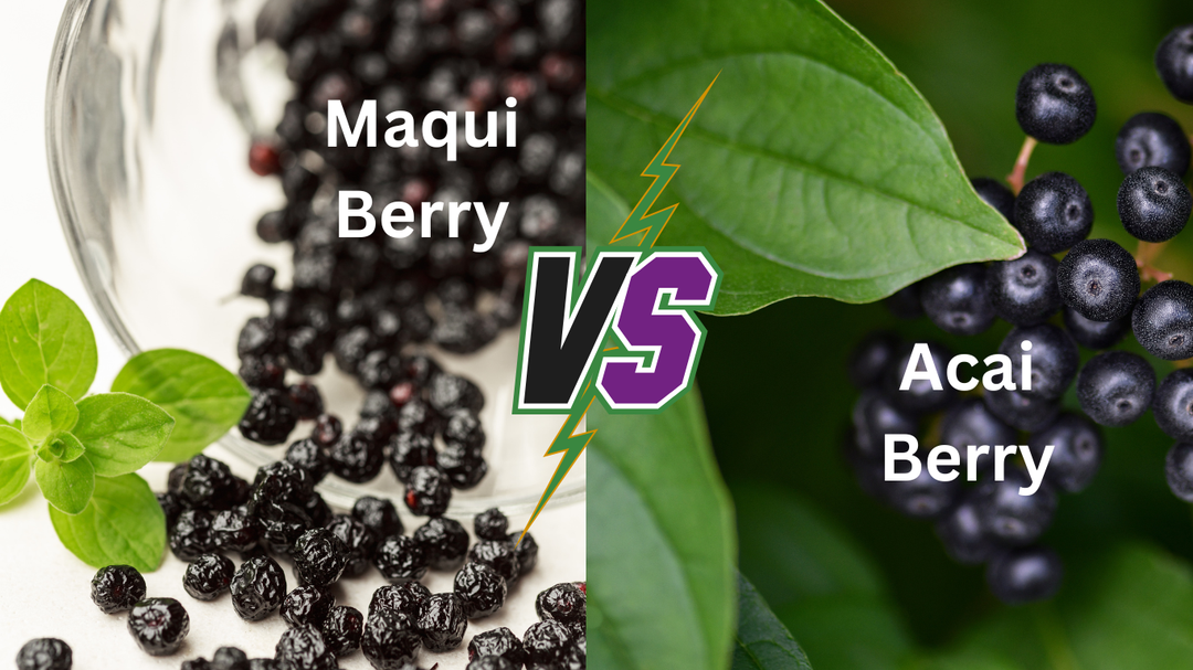 🫐 Why Maqui is the New Acai