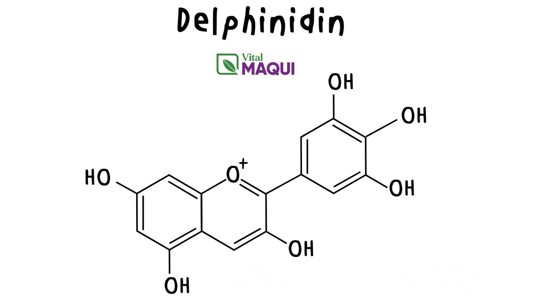 Delphinidin: The Blue Pigment You Need to Know About