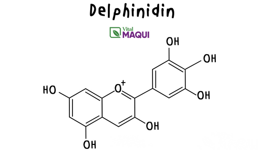 Delphinidin: The Blue Pigment You Need to Know About
