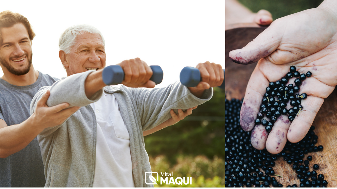 The Ultimate Superfood: How Maqui Berry Combines Anti-Inflammatory Power, Metabolism Boosting Benefits, and Longevity