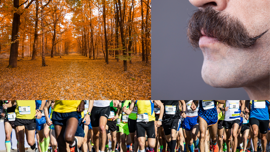 November Health and Wellness Events in Canada: Embrace Physical and Mental Wellness with VitalMaqui