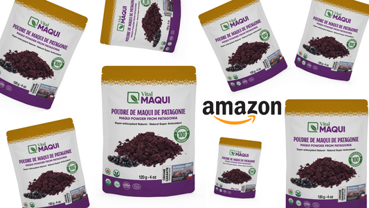 VitalMaqui: The Best Organic Maqui Berry Powder Now on Amazon Canada