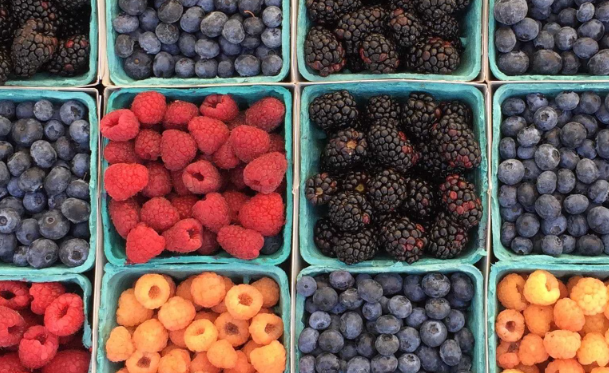 Comparing Super Berries: Maqui vs. Acai, Goji, and Blueberries