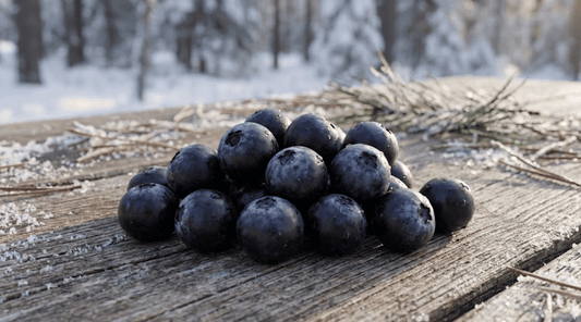Top 6 Benefits of Maqui Berry for Winter Wellness