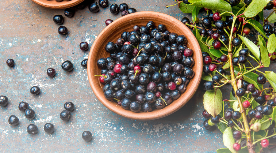 What is a Maqui Berry? Unveiling the World's Most Powerful Antioxidant ...