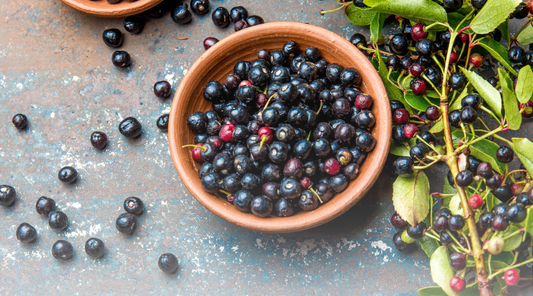 What is a Maqui Berry? Unveiling the World's Most Powerful Antioxidant Superfruit