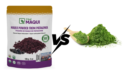 Maqui Berry vs. Matcha: Which Antioxidant Superfood Is Right for You?